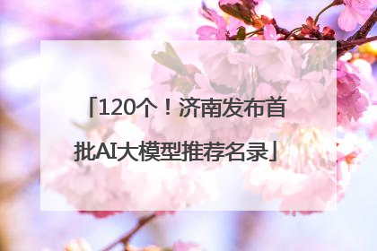 120个！济南发布首批AI大模型推荐名录