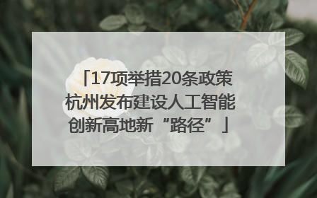 17项举措20条政策 杭州发布建设人工智能创新高地新“路径”