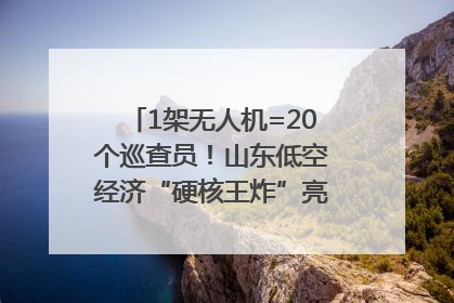 1架无人机=20个巡查员！山东低空经济“硬核王炸”亮相青岛，下一个万亿赛道藏在这里