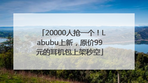 20000人抢一个！Labubu上新，原价99元的耳机包上架秒空