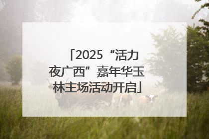 2025“活力夜广西”嘉年华玉林主场活动开启
