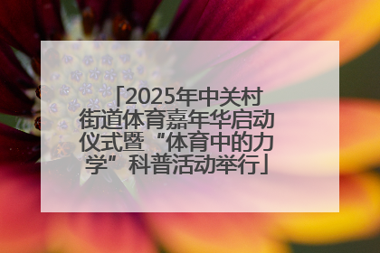 2025年中关村街道体育嘉年华启动仪式暨“体育中的力学”科普活动举行