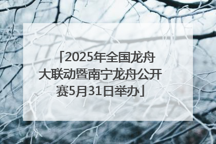 2025年全国龙舟大联动暨南宁龙舟公开赛5月31日举办