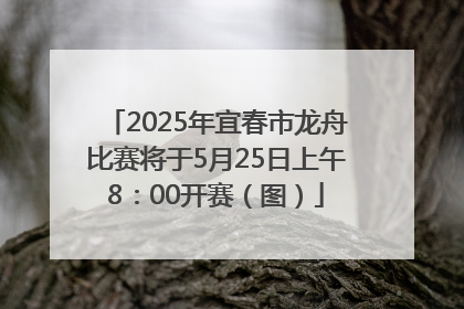 2025年宜春市龙舟比赛将于5月25日上午8：00开赛（图）
