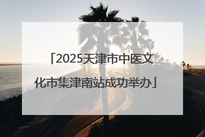 2025天津市中医文化市集津南站成功举办