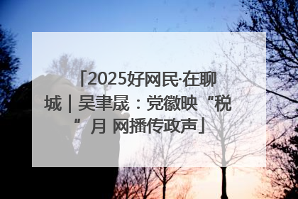 2025好网民·在聊城｜吴聿晟：党徽映“税”月 网播传政声