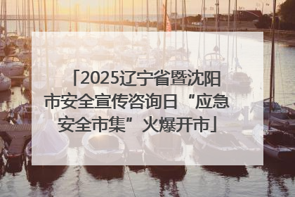 2025辽宁省暨沈阳市安全宣传咨询日“应急安全市集”火爆开市