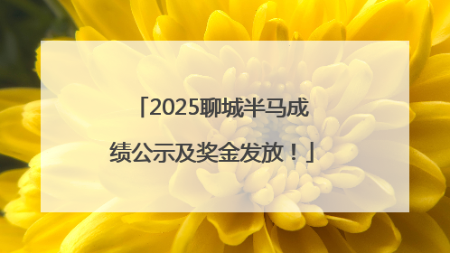 2025聊城半马成绩公示及奖金发放！