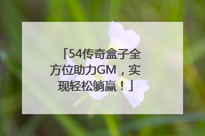 54传奇盒子全方位助力GM，实现轻松躺赢！