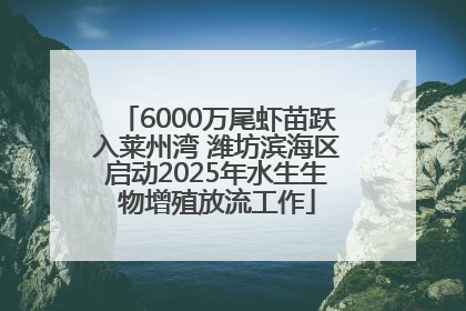 6000万尾虾苗跃入莱州湾 潍坊滨海区启动2025年水生生物增殖放流工作