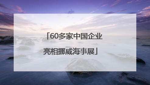 60多家中国企业亮相挪威海事展