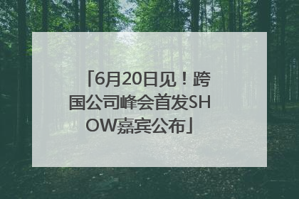 6月20日见！跨国公司峰会首发SHOW嘉宾公布