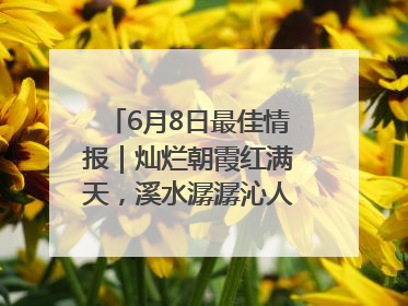 6月8日最佳情报｜灿烂朝霞红满天，溪水潺潺沁人心！恭喜获奖