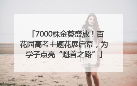 7000株金葵盛放！百花园高考主题花展启幕，为学子点亮“魁首之路”
