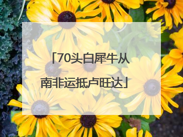 70头白犀牛从南非运抵卢旺达