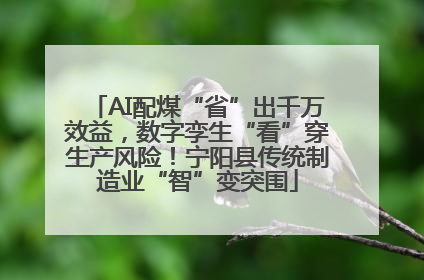 AI配煤“省”出千万效益，数字孪生“看”穿生产风险！宁阳县传统制造业“智”变突围