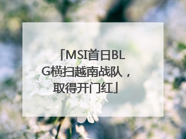 MSI首日BLG横扫越南战队，取得开门红